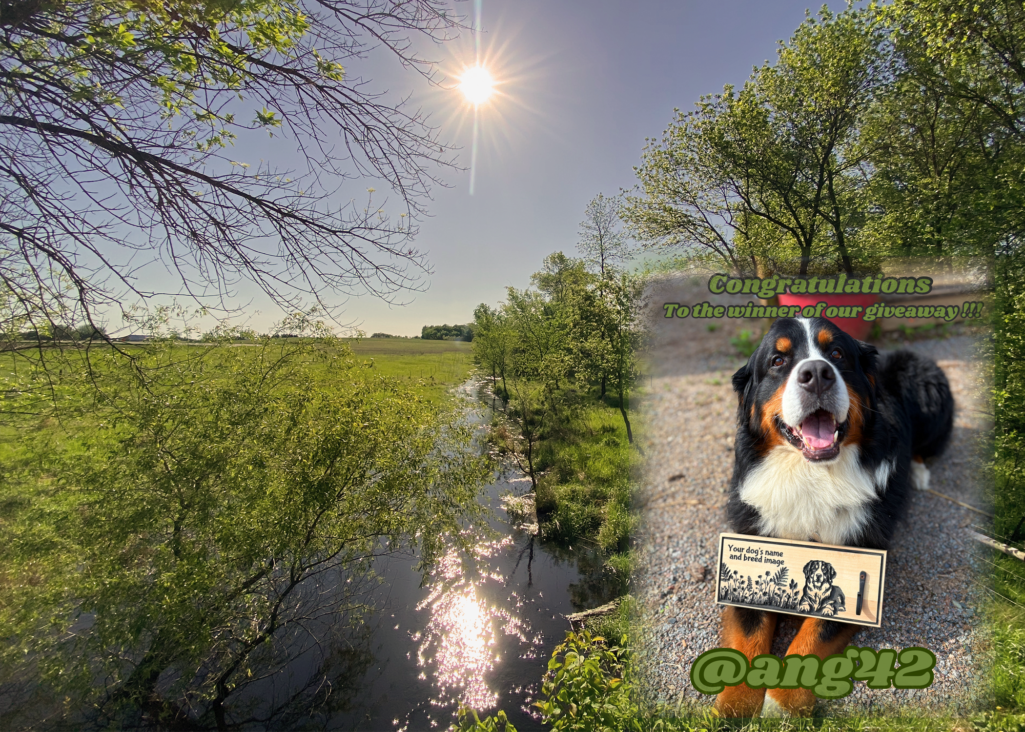 Sunshine and green pasture with some trees and a river running through the middle